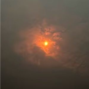 Meet your Posher, Emmaline